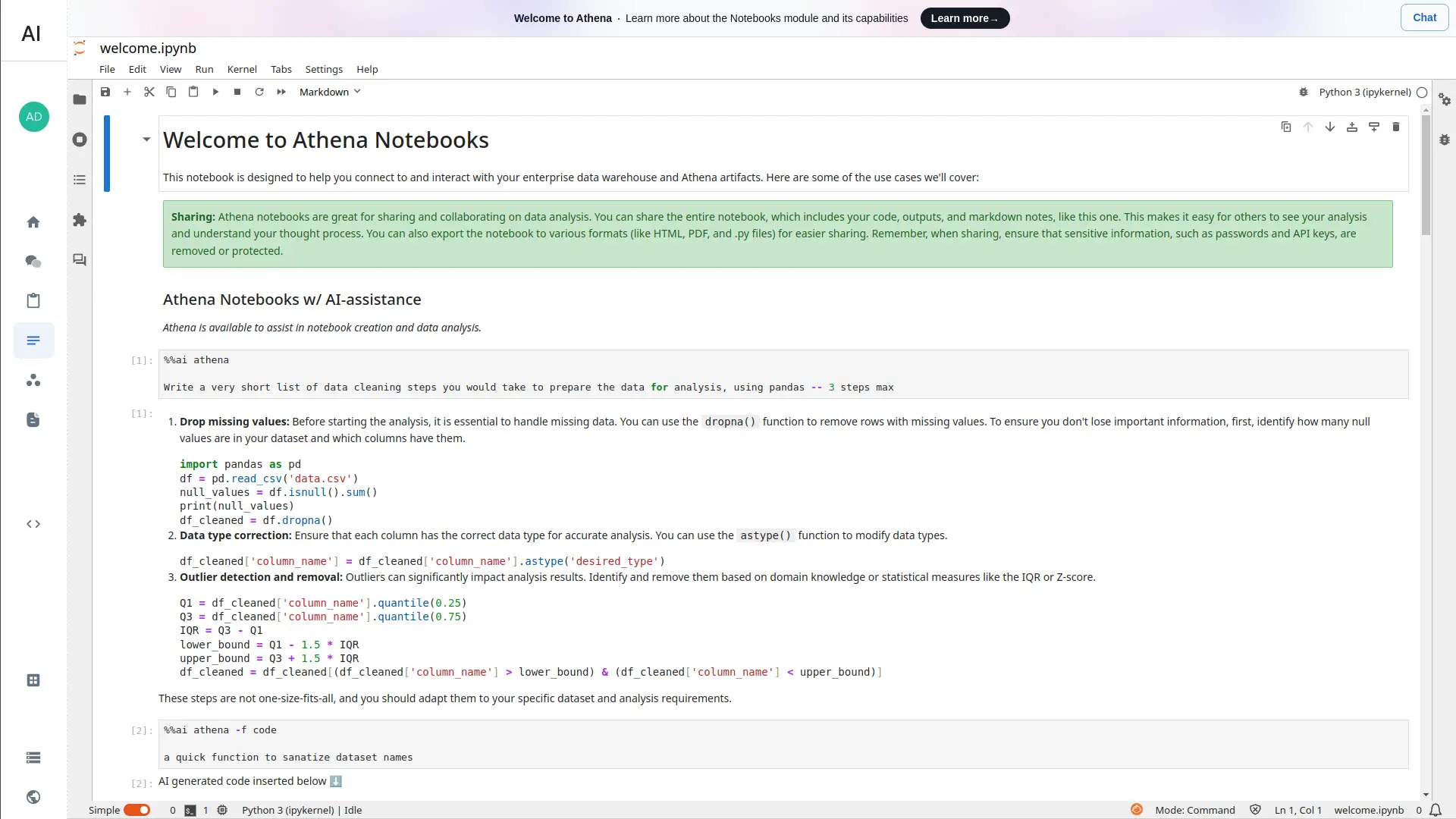 Athena Notebooks interface in Jupyter with data cleaning instructions